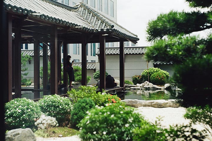 oasis and patio
